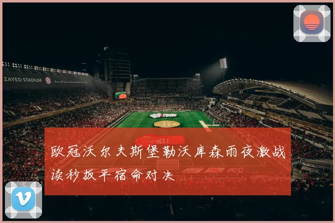 欧冠沃尔夫斯堡勒沃库森雨夜激战读秒扳平宿命对决