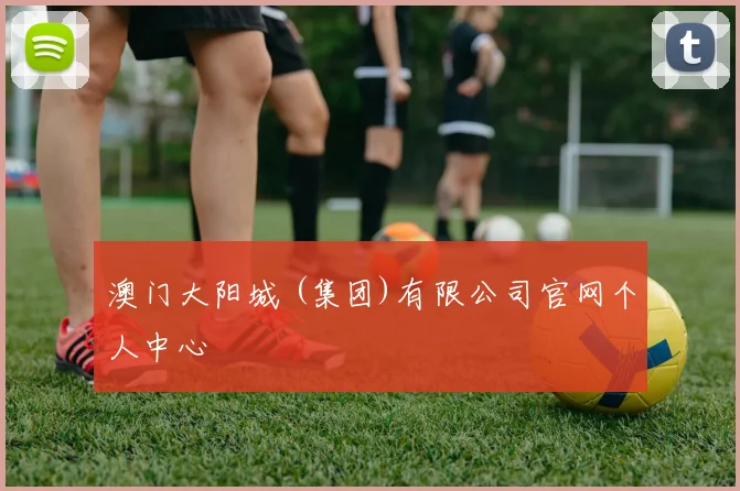 澳门大阳城 (集团)有限公司官网个人中心